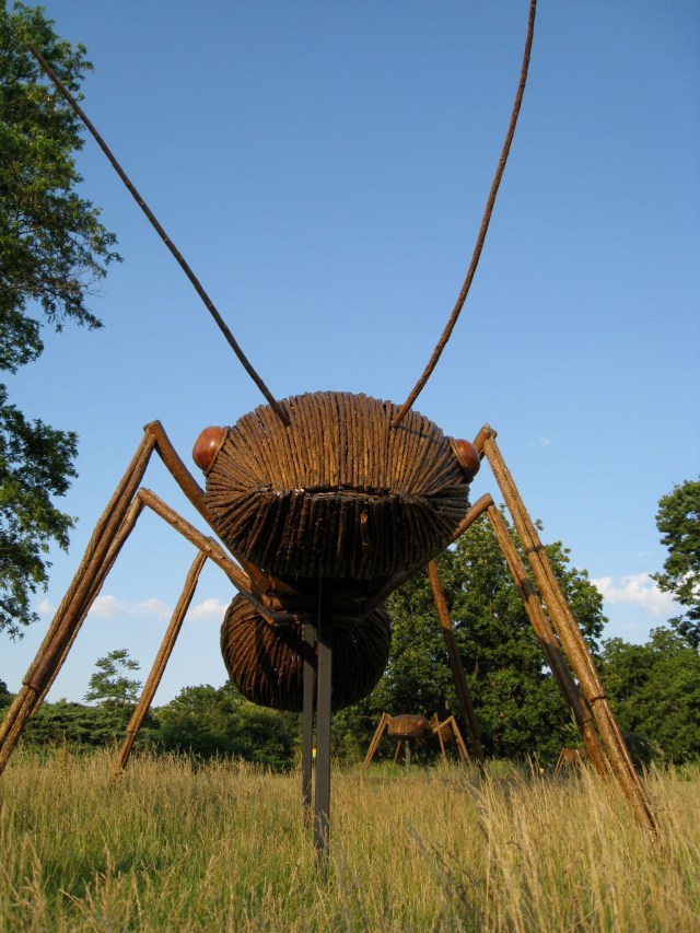 BIG BUGS! at Morton Arboretum